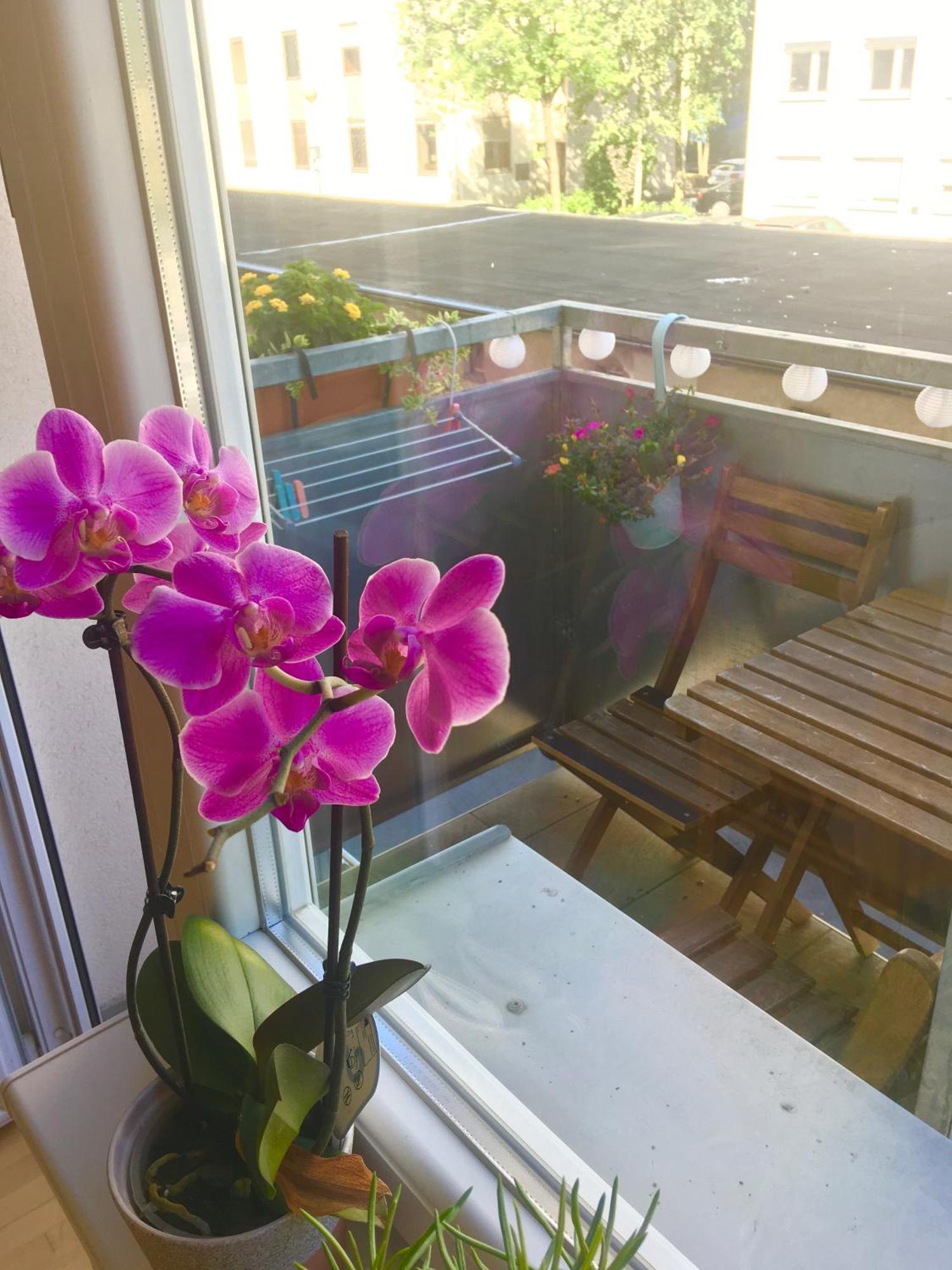 Cosy Studio Andy With Great Location Apartment Ljubljana Luaran gambar